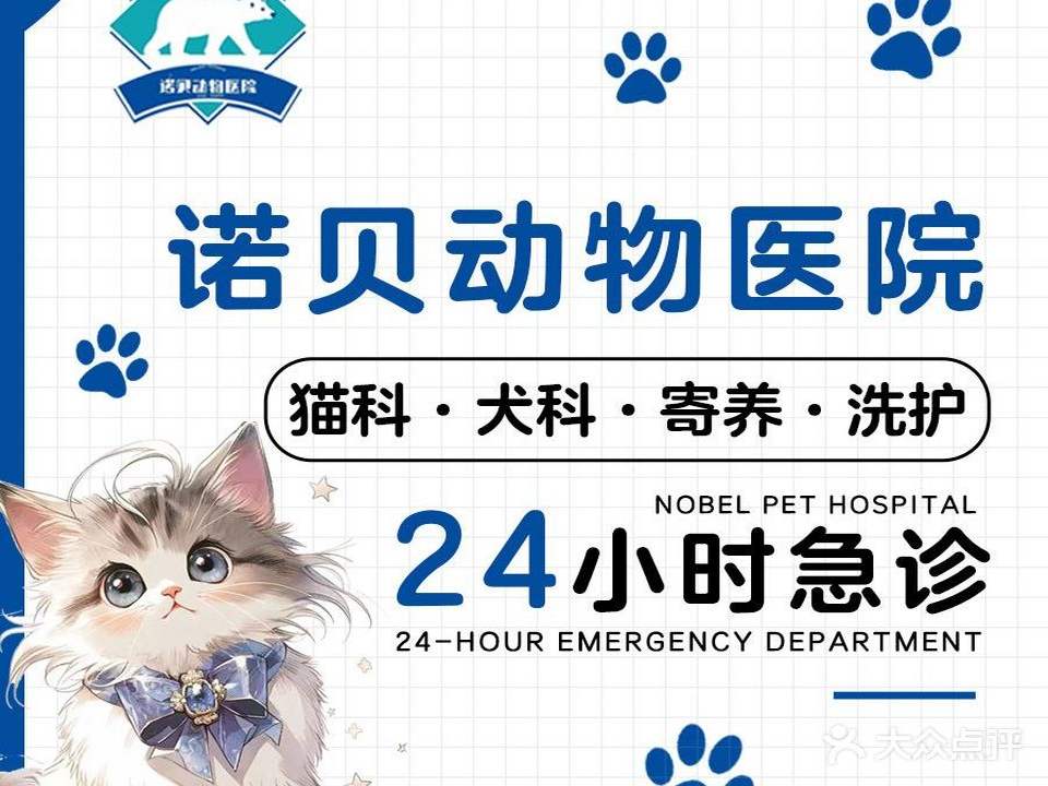 诺贝动物医院·猫科·犬科