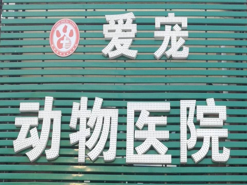 爱宠动物医院