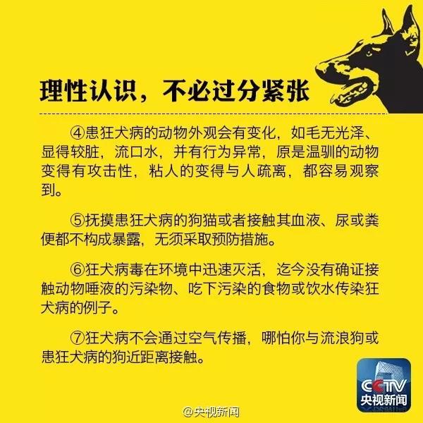 被小奶猫抓伤需要打狂犬疫苗吗