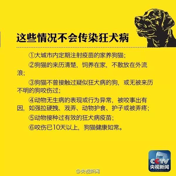 被小奶猫猫抓了浅红印没出血有事吗 科学认识狂犬病